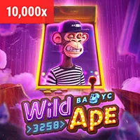 Trận đấu đá gà sôi động trong một đấu trường truyền thống tại go881